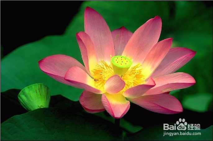 PS图层蒙版的应用