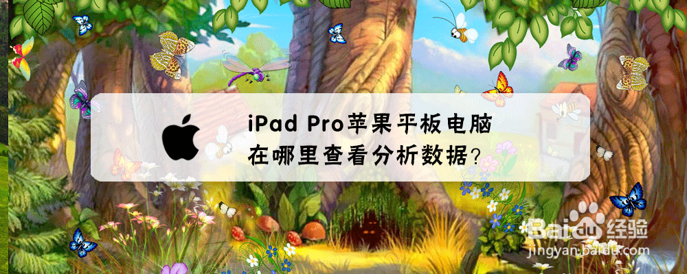 iPad Pro苹果平板电脑在哪里查看分析数据