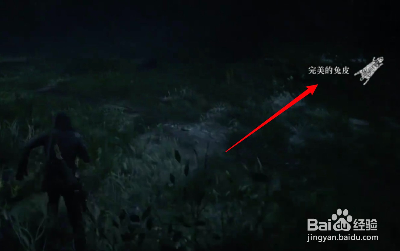 荒野大镖客2兔子完美皮怎么打