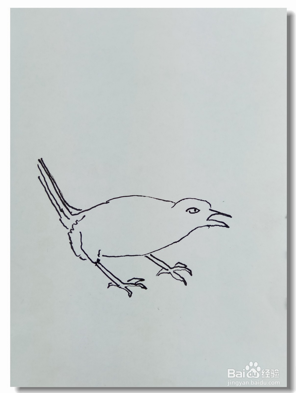 怎样画简笔画“枝头鸟”