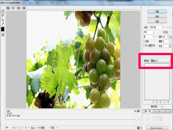 把不同大小的图片在PS中改成自己需要的大小图片