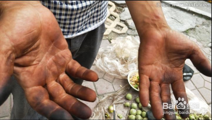 剥鲜核桃手黑了怎么办