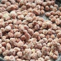 过年回家美食记85--下酒菜花生粘