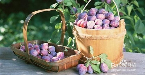 这种水果不常见，但8种营养价值不容忽视！