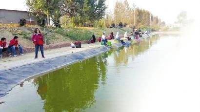 如何建设多元化农场