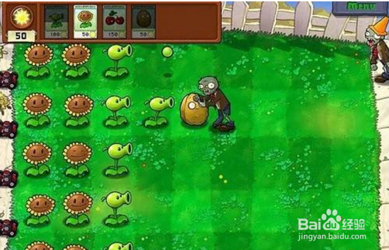 植物大战僵尸游戏攻略
