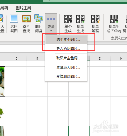 Excel如何一次性选中表格中的所有图片？