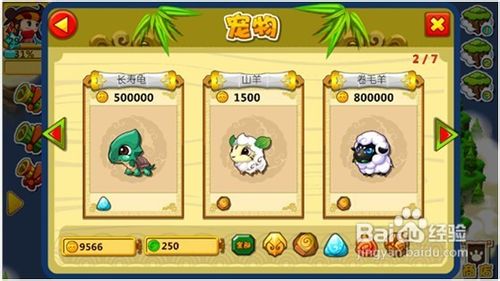 《宠物宝贝》详细攻略分享