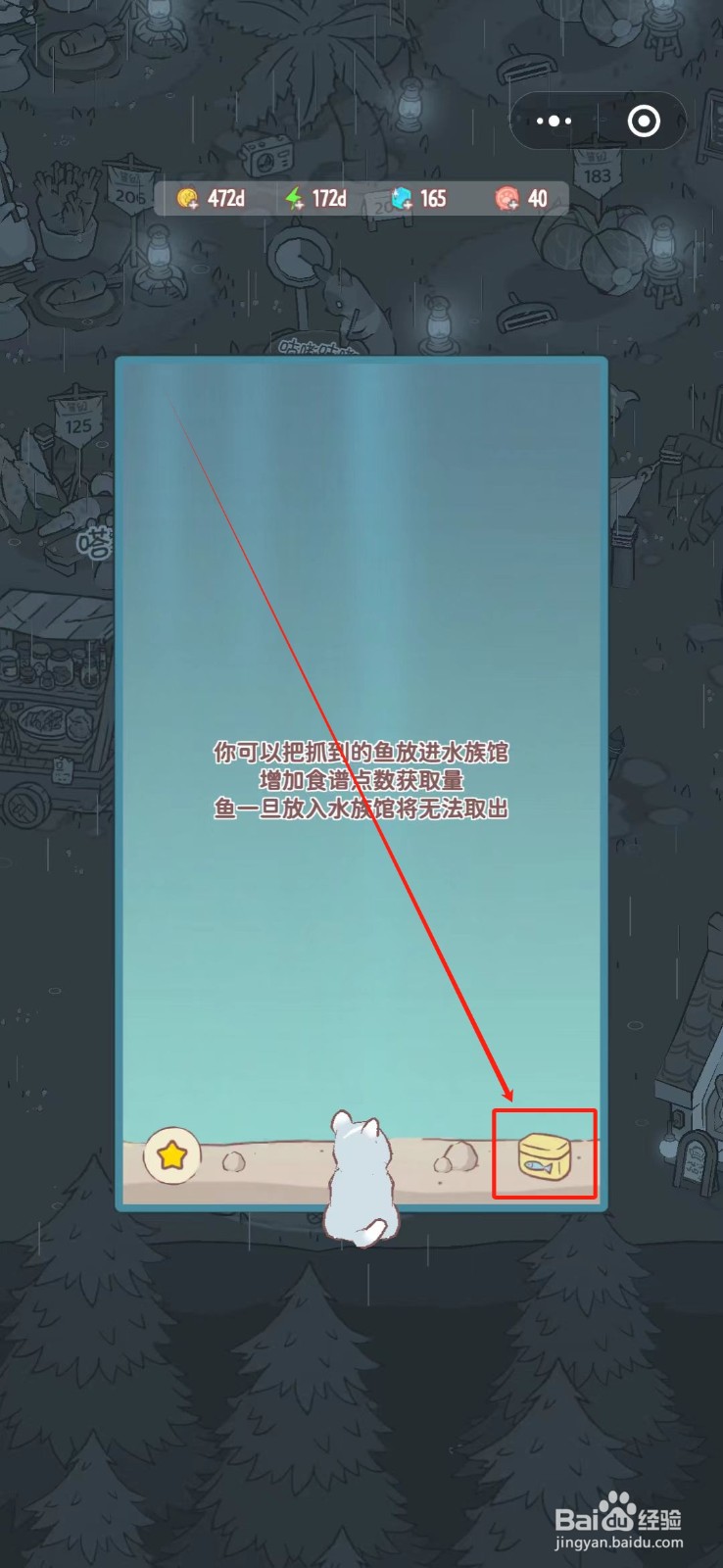 猫咪和汤怎么把鱼放进水族馆