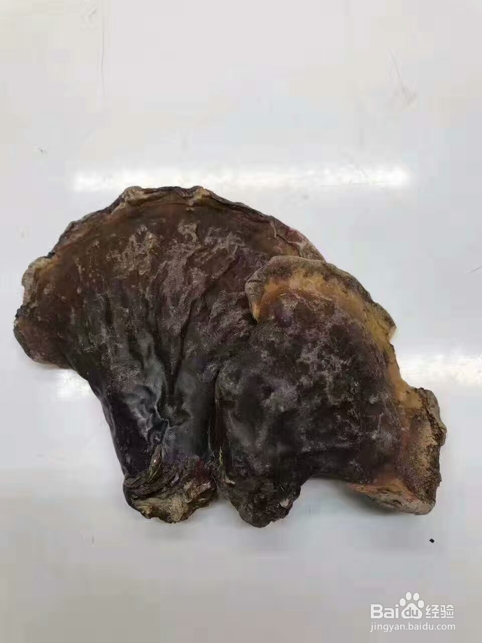 灵芝烘干机的技术特性灵芝热泵烘干机程序设定