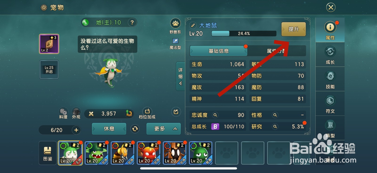 魔力宝贝怎么升级宠物