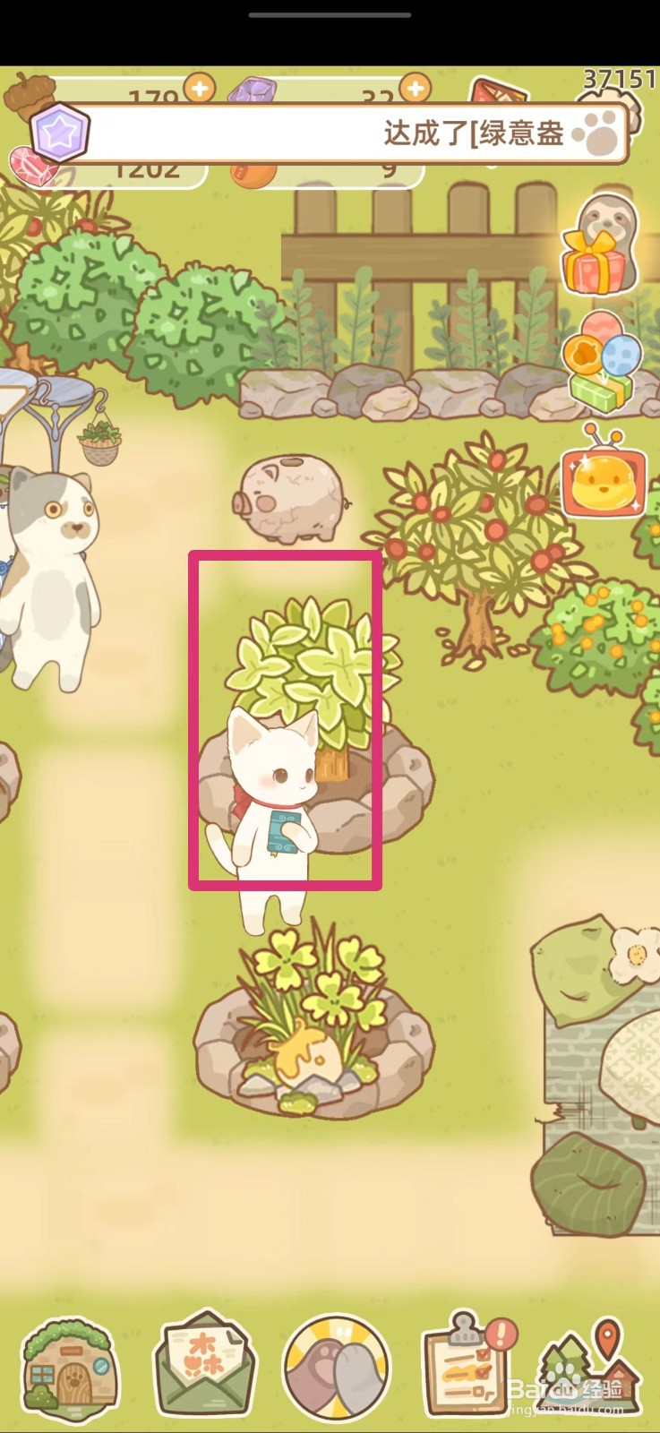 鼹鼠同行之森林之家怎么给树苗施肥