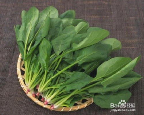 哪些食物可以对眼睛好