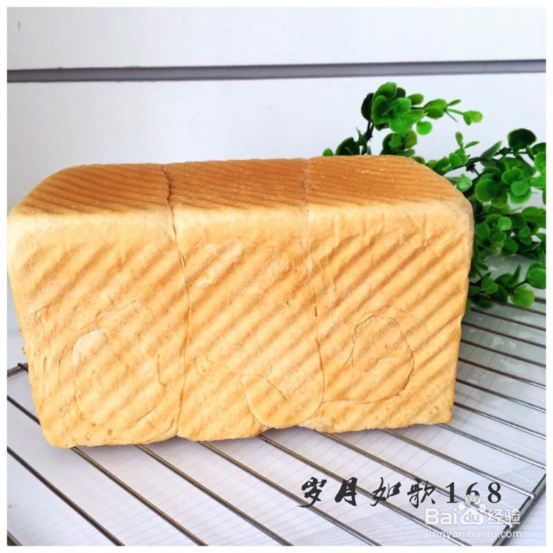 练奶中种土司面包的做法