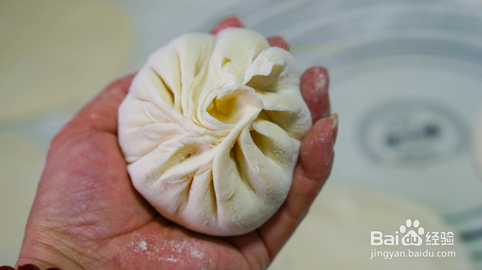 野菜鲜肉包子的做法