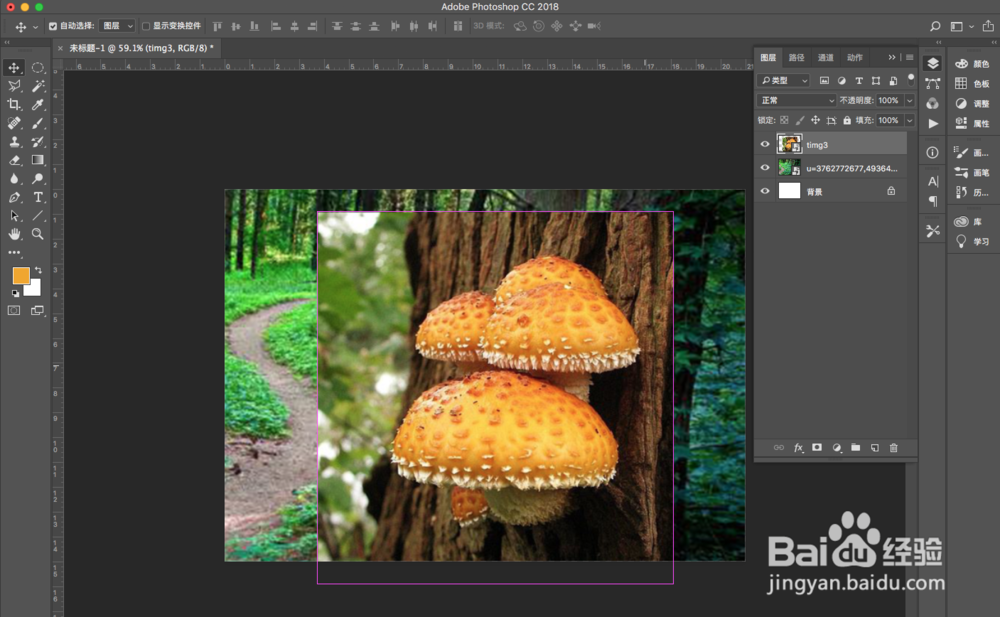 [photoshop教程]图片合成—小世界