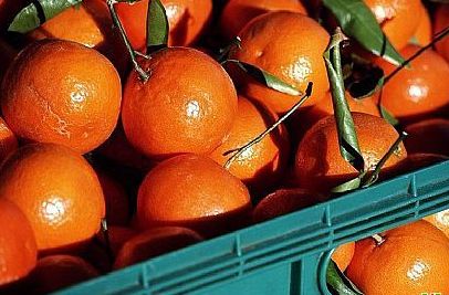 怎样选择三峡特产