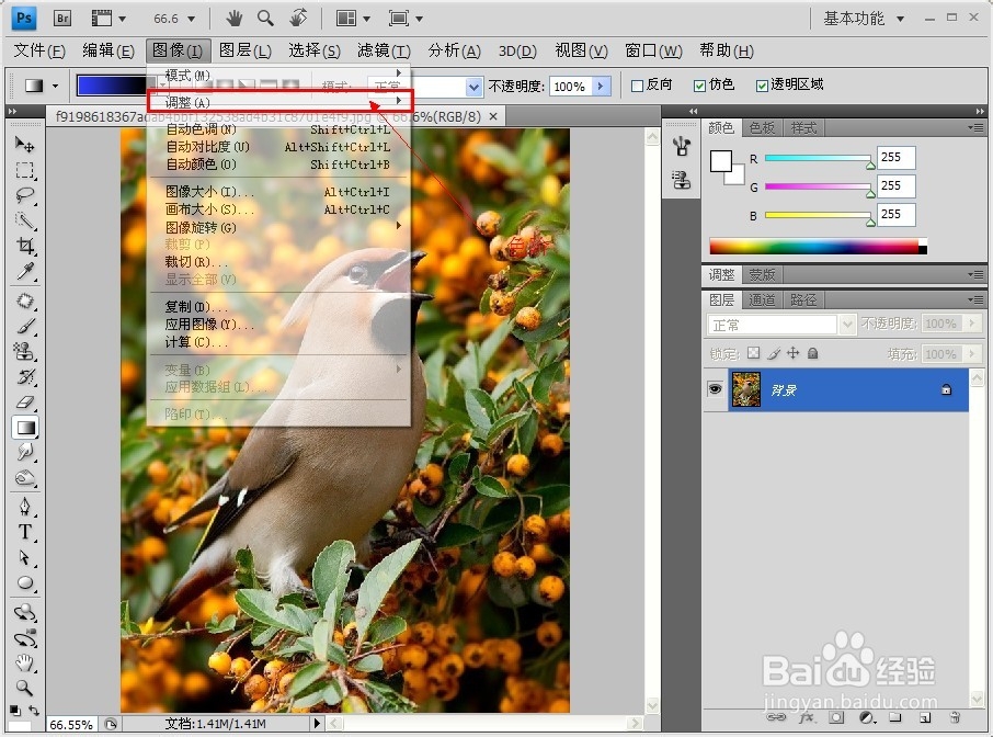 PS技巧大全：[13]