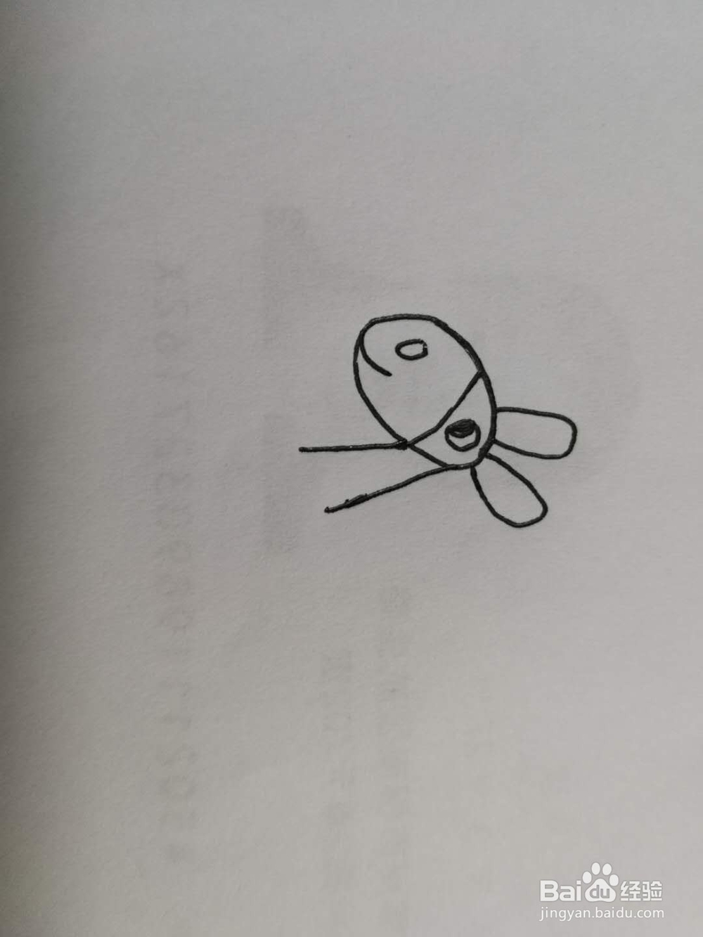 简笔画得意的小毛驴