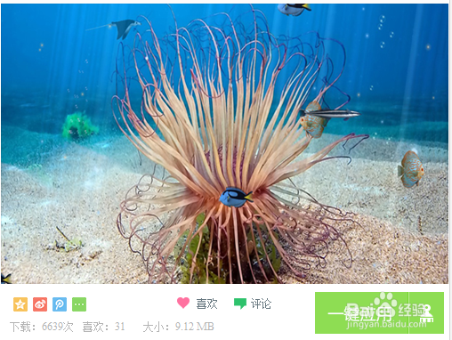 梦幻水族馆屏保怎么设置
