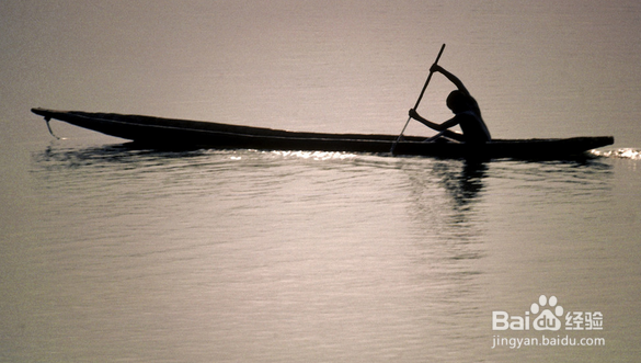 快速学习划船。