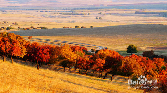 王的宫殿代钦塔拉旅游攻略