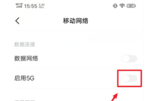 vivoy52s如何开启5g