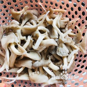 椒盐蘑菇-超好吃的下酒菜