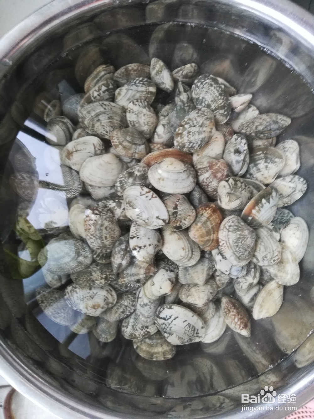 如何做出最鲜嫩的花蛤