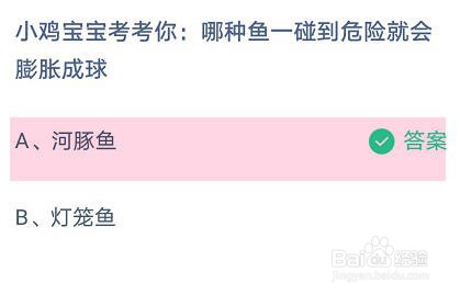 哪种鱼一碰到危险就会膨胀成球蚂蚁庄园