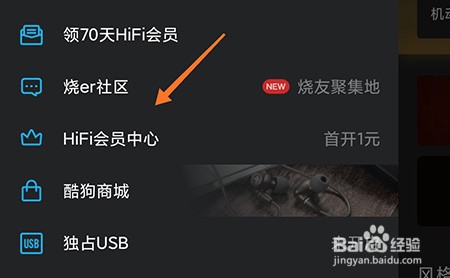VIPER HiFi怎么开通会员