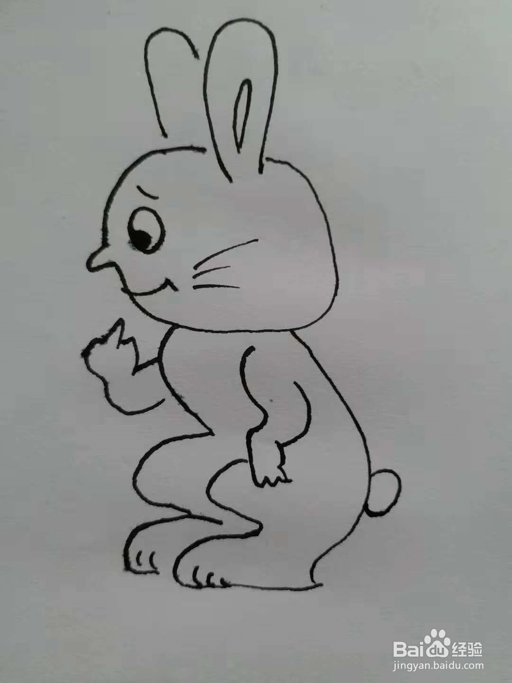 卡通兔的简笔画法《六》
