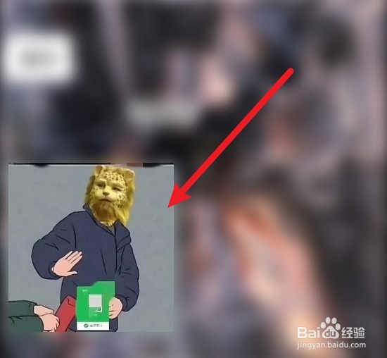 金钱豹收款码怎么做