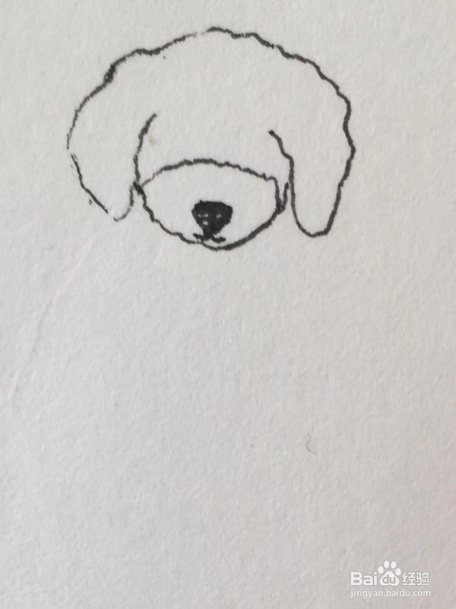 彩铅画教程之沙发上的泰迪犬