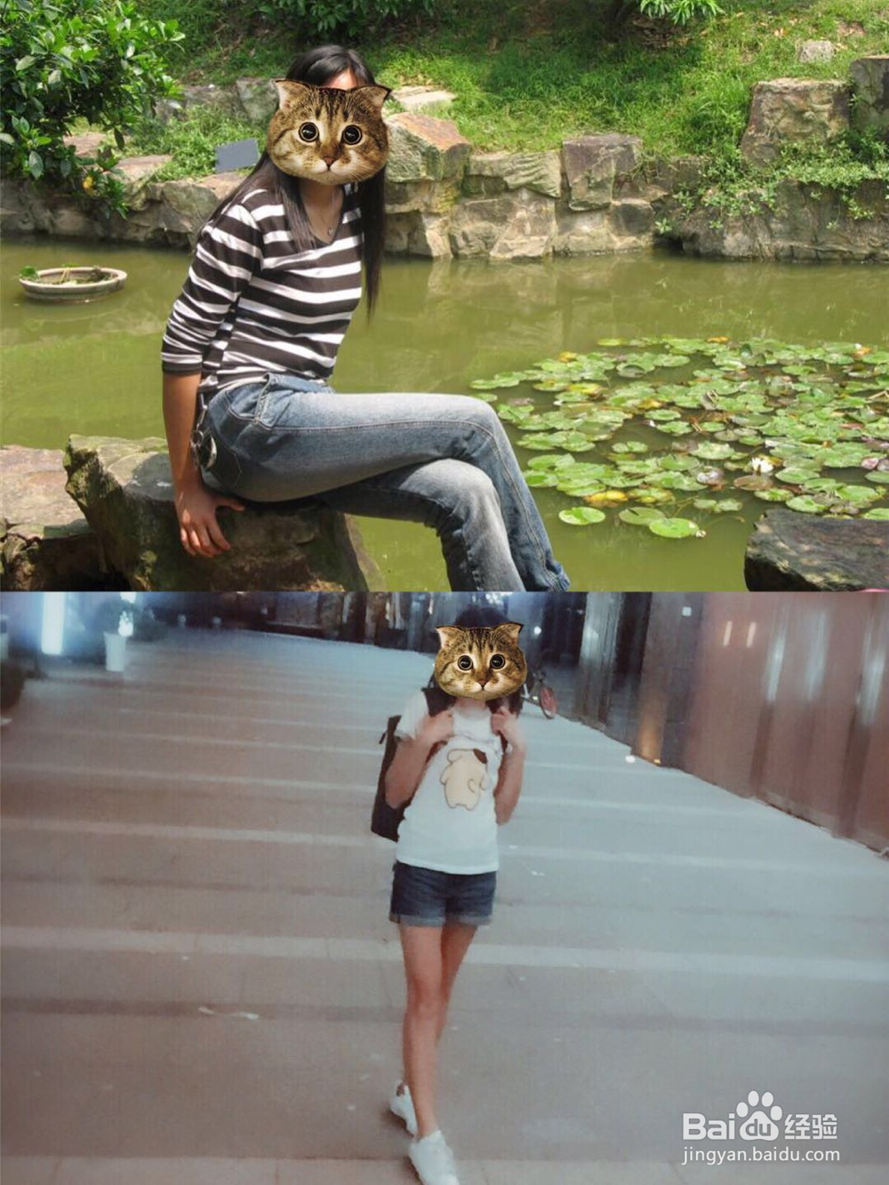 如何能健康减肥