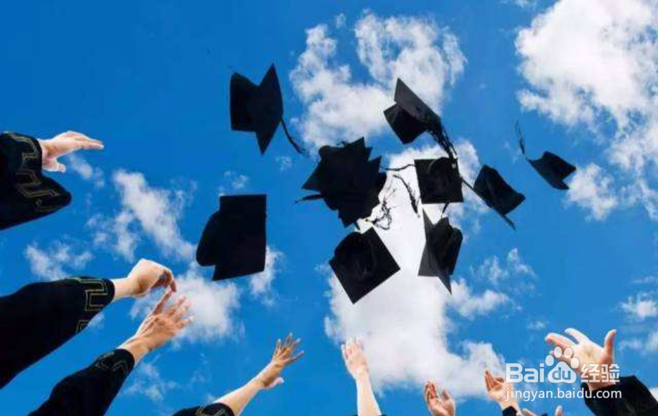 成人高考怎么报志愿