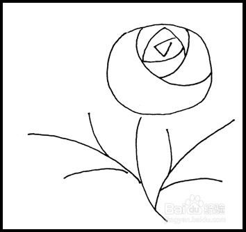 怎样画简笔画（花卉）：[3]玫瑰2