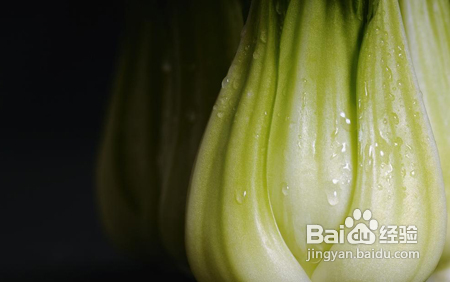 两款饮食对付女性下半身肥胖