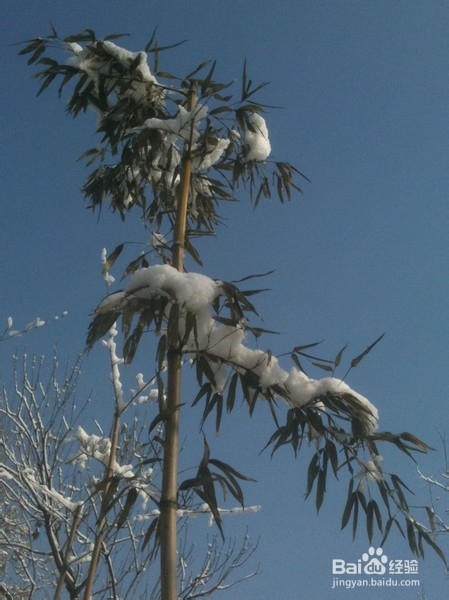 北京旅游攻略：[9]旺兴湖公园