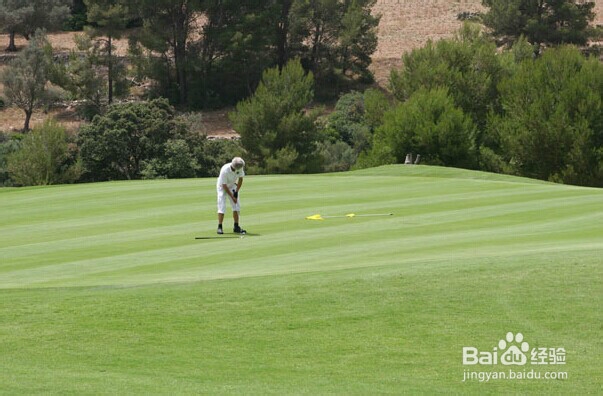 高尔夫球“内行”语言