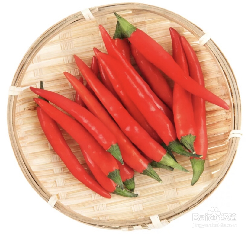 忍不住流口水的跳水鱼