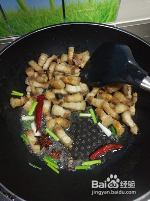 家庭版红烧肉