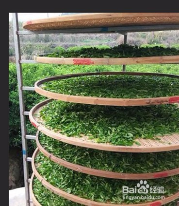 如何利用PS把模糊的照片变清晰