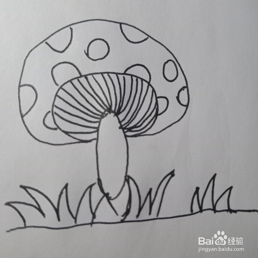 简笔画—简单画蘑菇