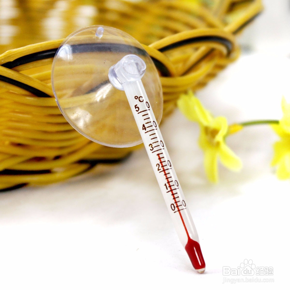 2017年最流行发色