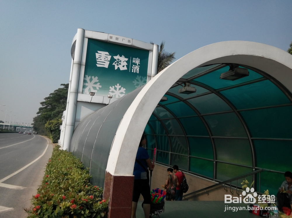 龙华文化广场至福田红树林游玩路线