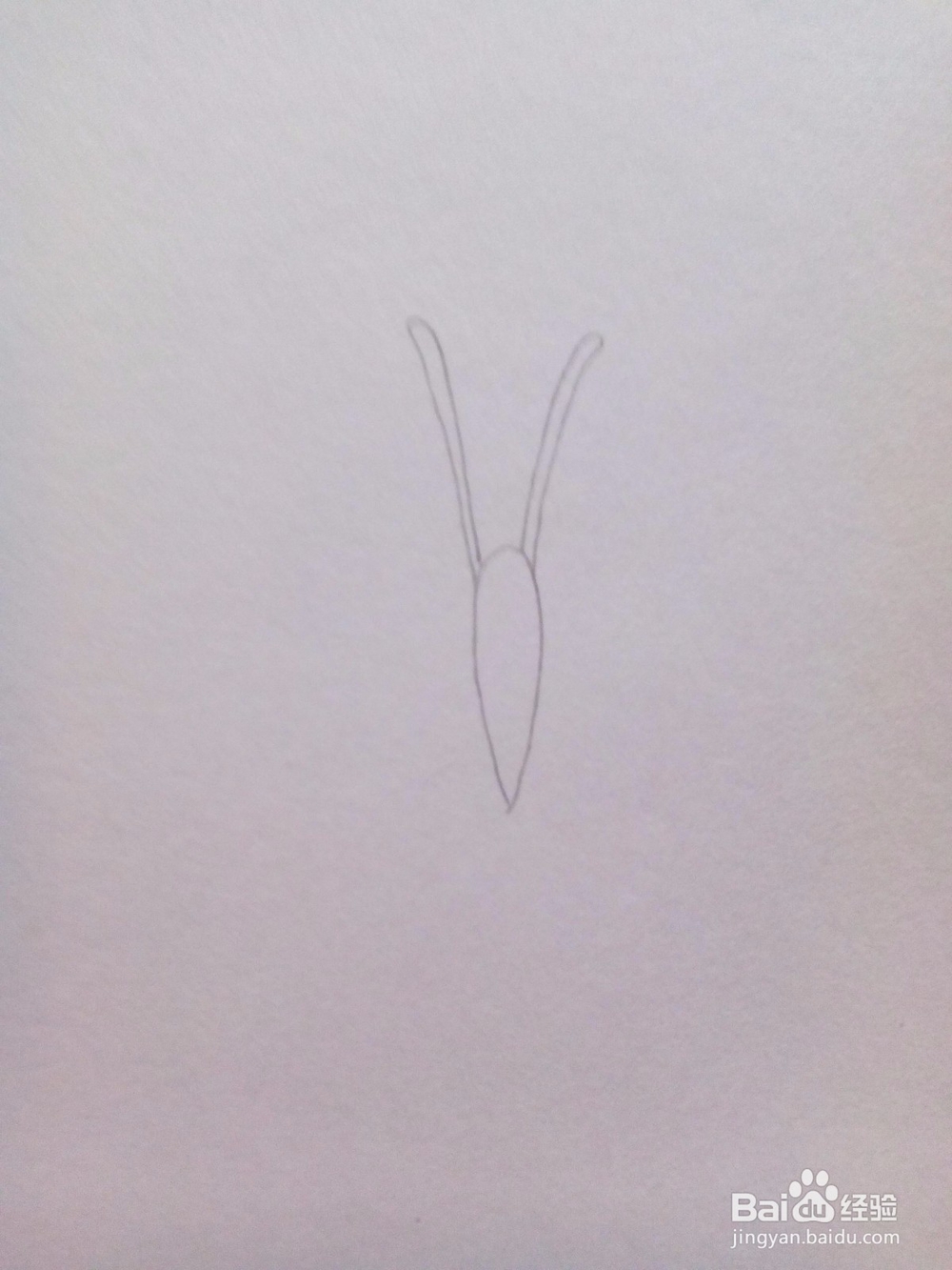 简笔画——蝴蝶
