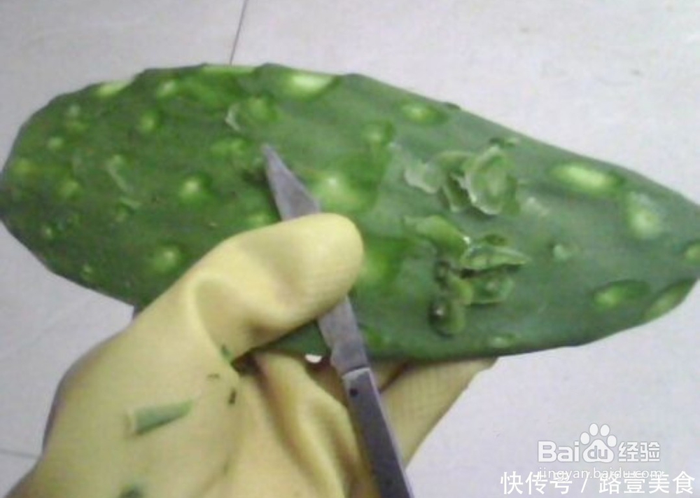 腮腺炎用仙人掌怎么敷