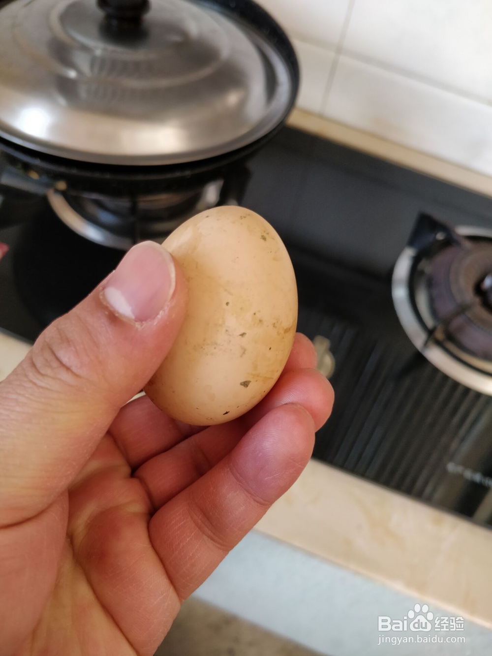 美味健康的鸡蛋羹