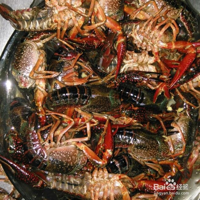 妈妈教我做的蒜蓉小龙虾